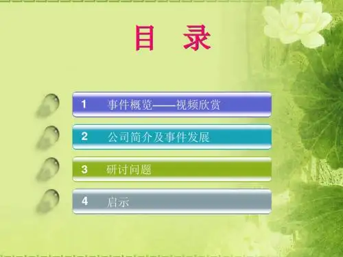 安然事件案例分析