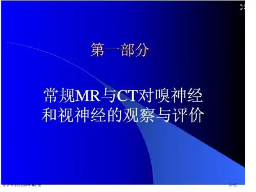 各条颅神经清晰MRI影像