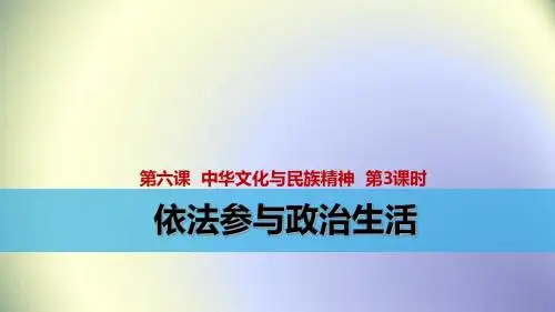 人教版九年级政治 第六课 参与政治生活 第3课时 依法参与政治生活 (3)