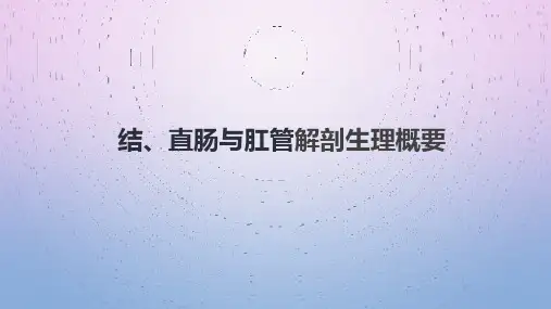 结、直肠与肛管解剖生理概要