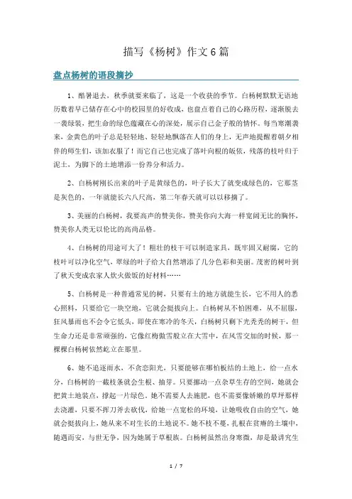 描写《杨树》作文6篇