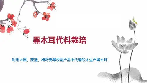 黑木耳代料栽培