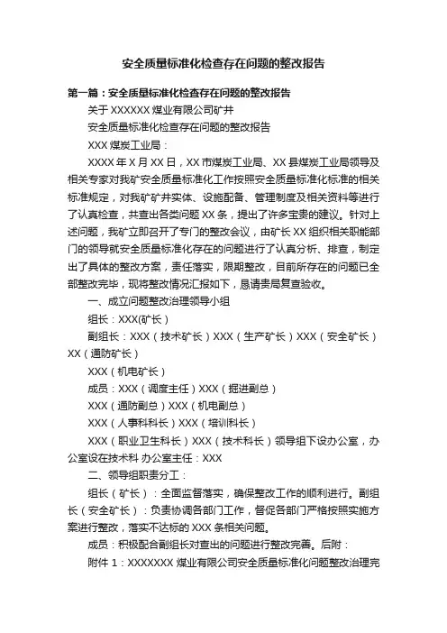 安全质量标准化检查存在问题的整改报告