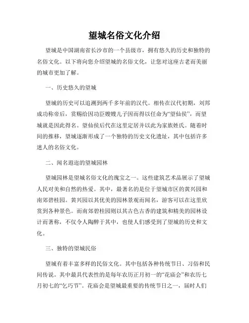 望城名俗文化介绍
