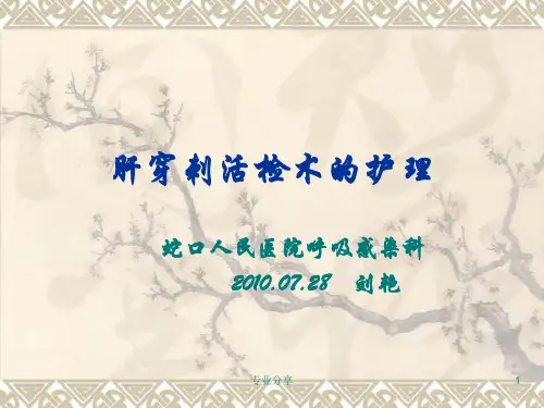 肝穿刺活检术的护理(行业精制)