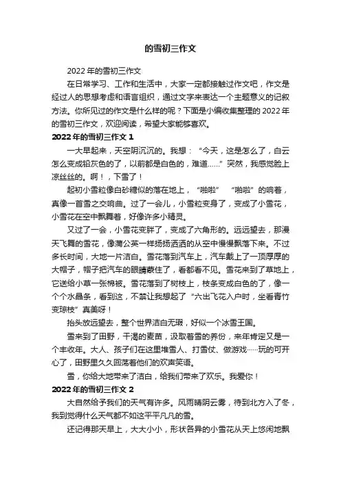 2022年的雪初三作文