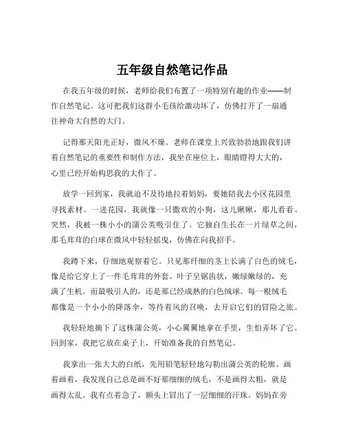 五年级自然笔记作品