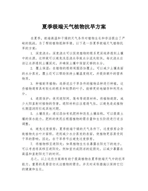 夏季极端天气植物抗旱方案