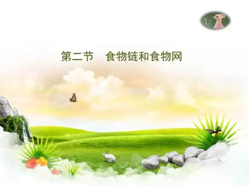 第2节《食物链和食物网》初中生物公开课PPT课件