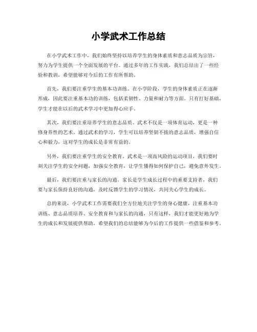 小学武术工作总结
