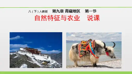 青藏地区的自然特征与农业 说课 课件-2023-2024学年八年级地理下学期人教版