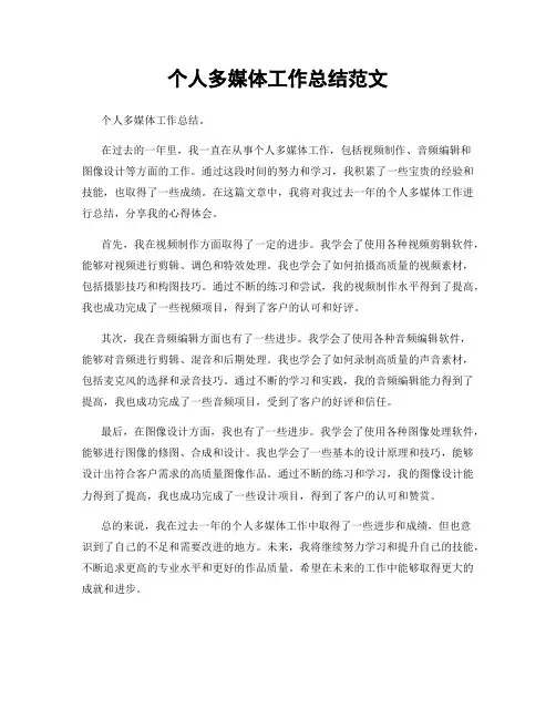 个人多媒体工作总结范文