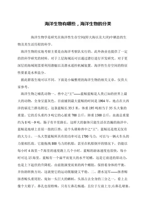 海洋生物有哪些,海洋生物的分类