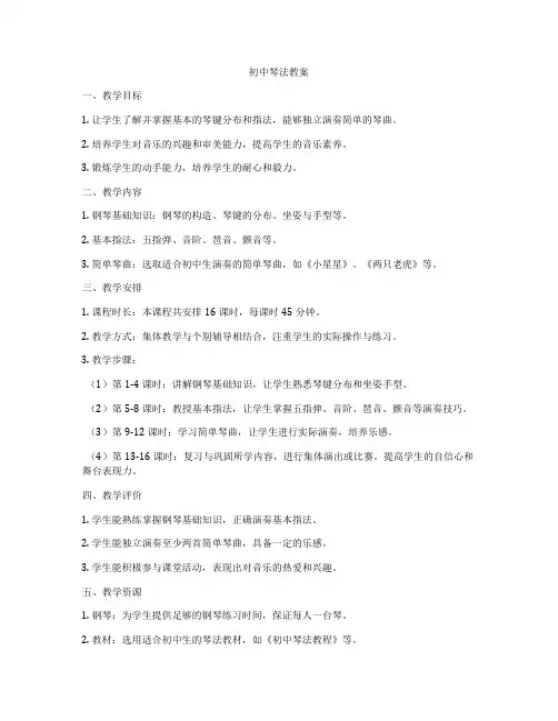 初中琴法教案