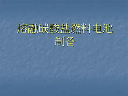 07《新能源材料》06熔融碳酸盐燃料电池