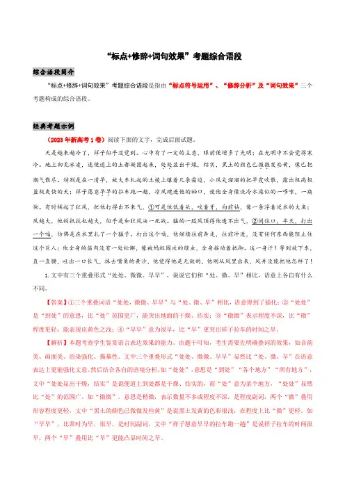 “标点+修辞+词句效果”考题训练(解析版)
