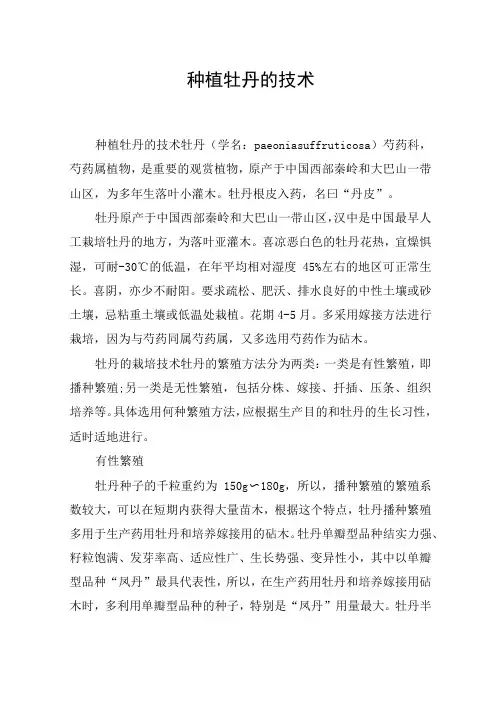 种植牡丹的技术