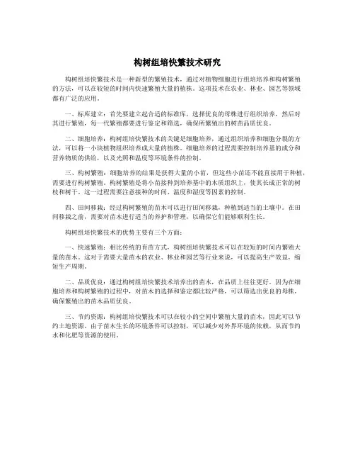 构树组培快繁技术研究