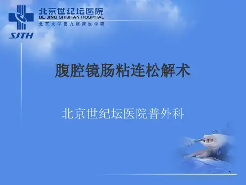 腹腔镜肠粘连松解术医学医药完整ppt课件