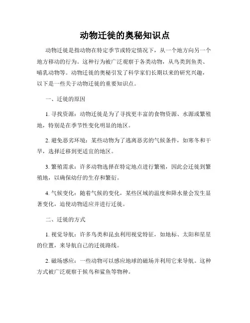 动物迁徙的奥秘知识点