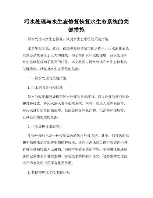 污水处理与水生态修复恢复水生态系统的关键措施