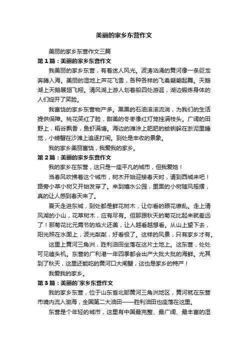 美丽的家乡东营作文三篇