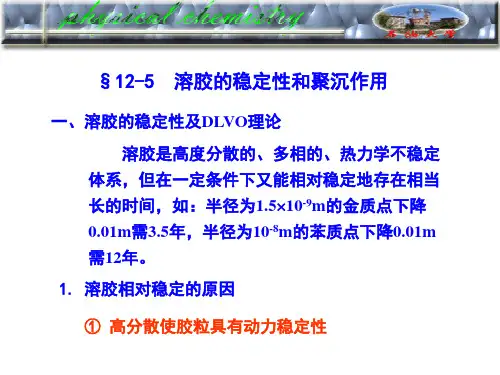 胶体12-5