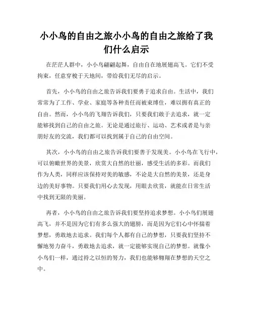 小小鸟的自由之旅小小鸟的自由之旅给了我们什么启示