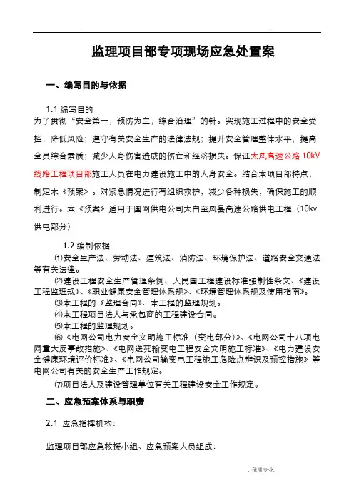 监理项目部专项现场应急处置方案