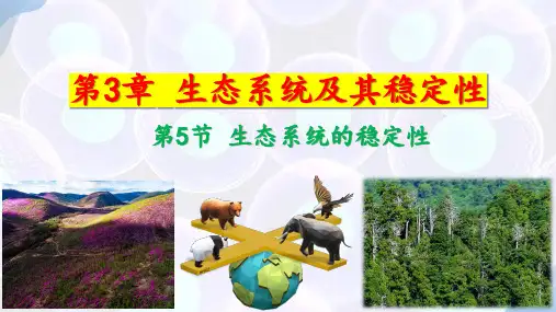 生态系统的稳定性-高二生物课件(人教版2019选择性必修2)