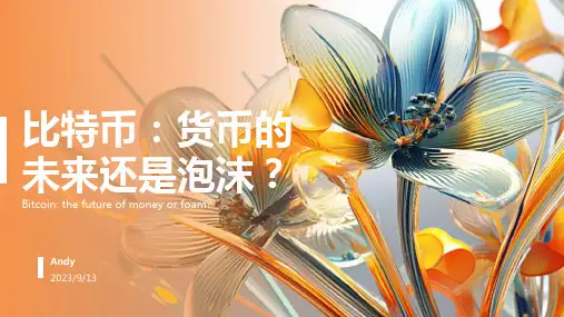 比特币-货币的未来还是泡沫？