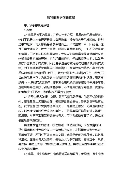 德牧的四季饲养管理