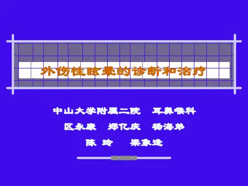 外伤性眩晕的诊断和治疗创伤性眩晕的诊断和治疗.pptx
