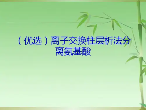 离子交换柱层析法分离氨基酸(共19张PPT)