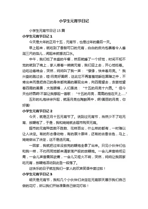 小学生元宵节日记15篇