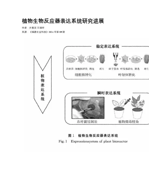 植物生物反应器表达系统研究进展