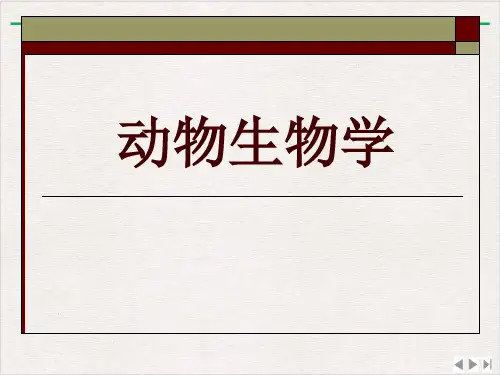 节肢动物门上课用课件PPT