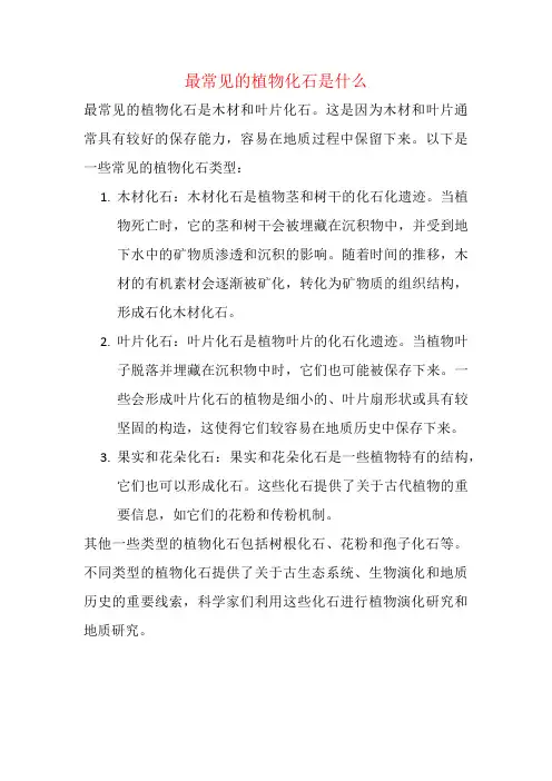 最常见的植物化石是什么
