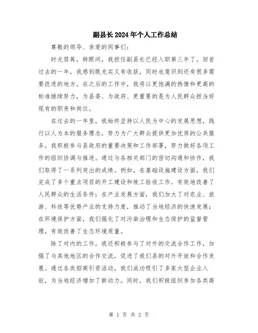 副县长2024年个人工作总结