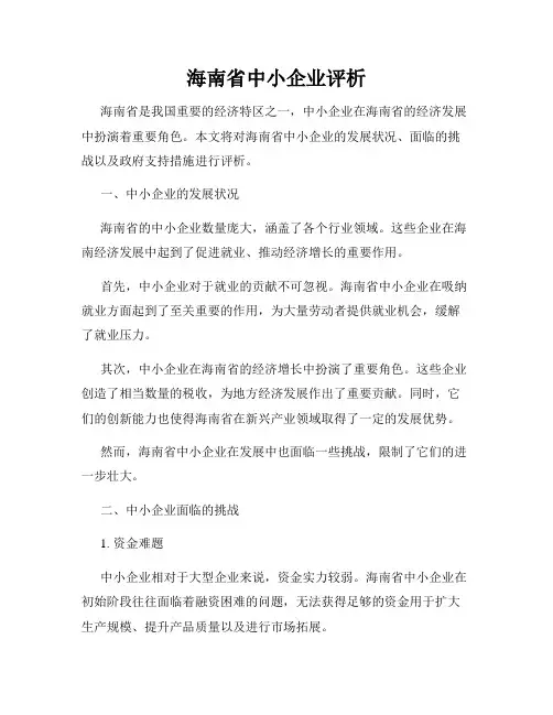 海南省中小企业评析