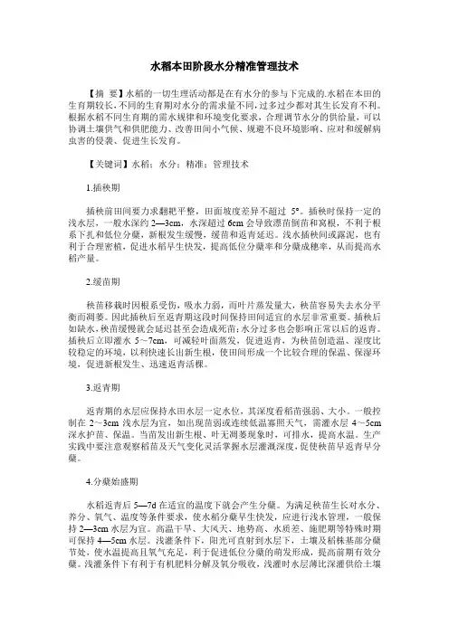 水稻本田阶段水分精准管理技术
