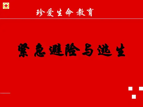 珍爱生命安全教育  ppt课件
