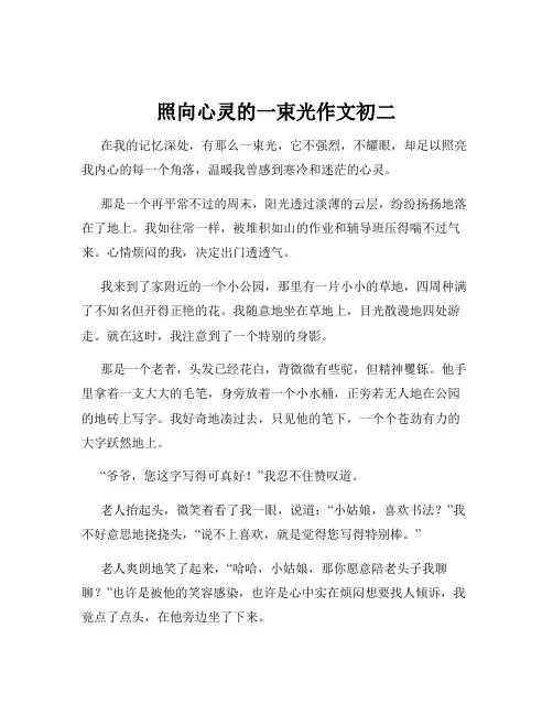照向心灵的一束光作文初二