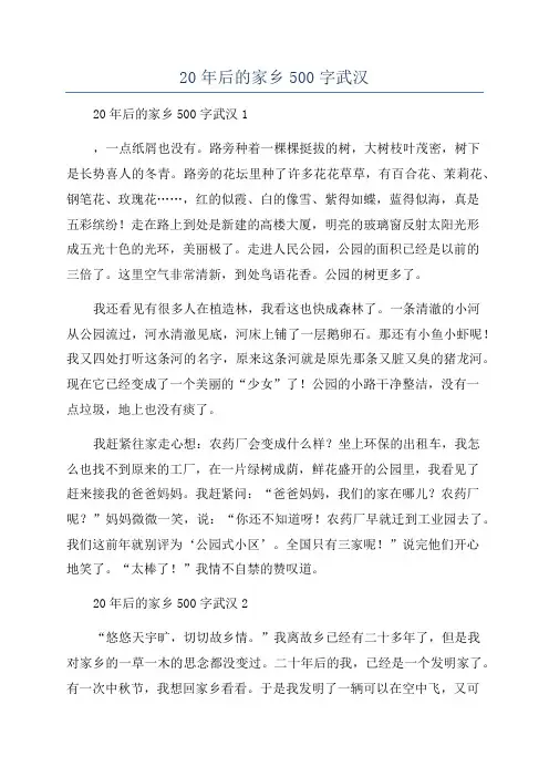 20年后的家乡500字武汉