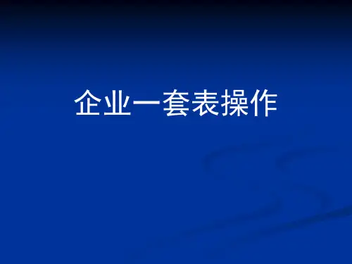 企业一套表软件操作