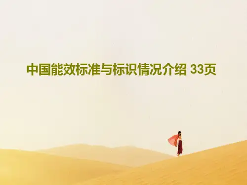 中国能效标准与标识情况介绍 33页35页PPT