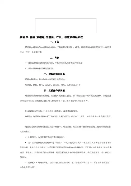 [解析]青蛙（或蟾蜍）的消化、呼吸、泄殖和神经系统