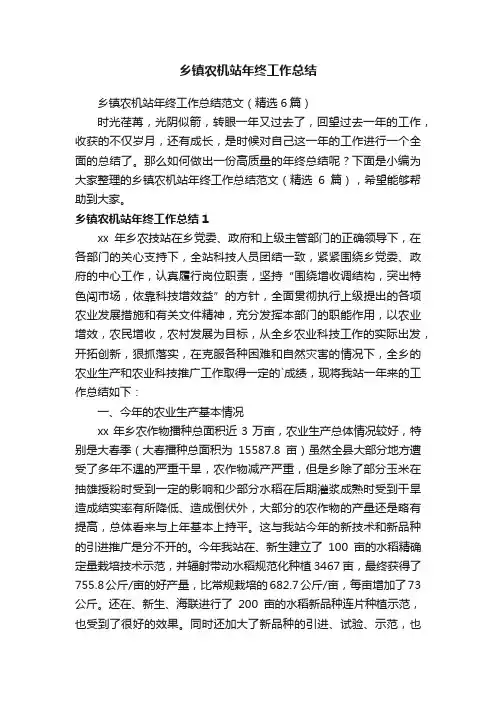 乡镇农机站年终工作总结范文（精选6篇）