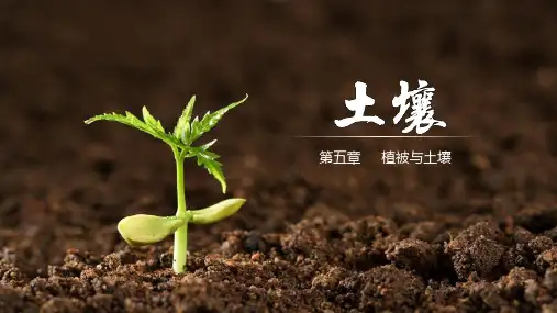 土壤 课件-高一地理人教版(2019)必修第一册