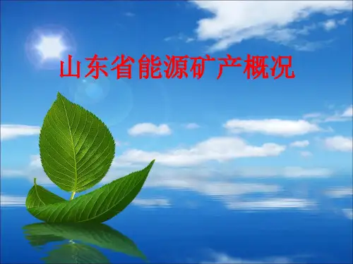 山东省能源矿产概况
